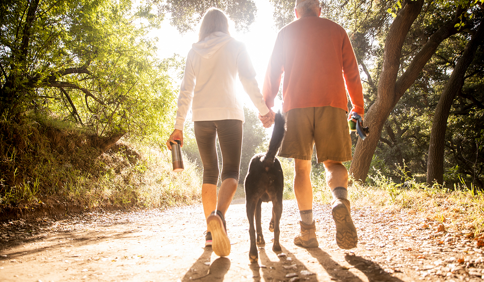 couple walking in woods with dog